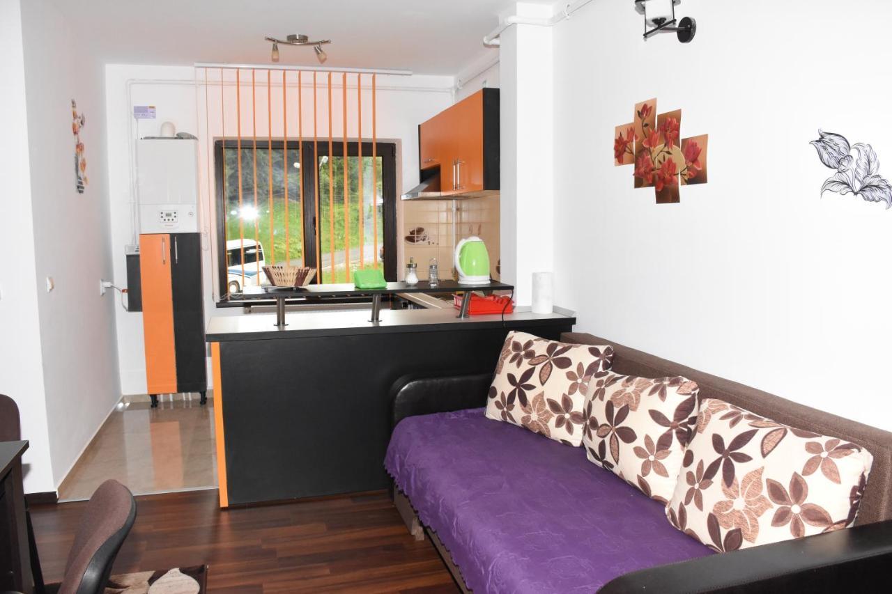 Hotel Apartament Eldya Comfort&Suites Predeal Exterior photo